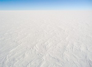 Antarctica's only export is cold!