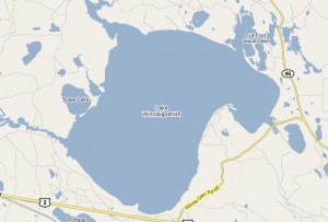 lake winnie Once again, a Lake Winnie picture. Our 's dimensions are 13 by 17 miles. She's single, likes long walks on the beach, and has plow experience.